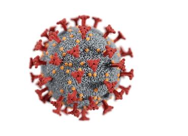Esto es lo que sabemos acerca de "ómicron", la nueva variante de coronavirus