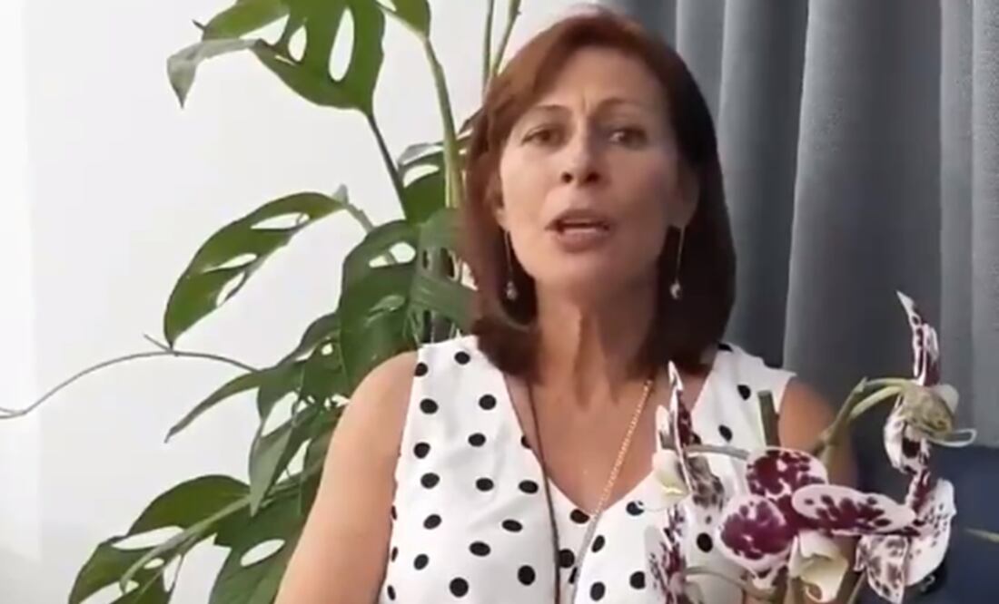 En Twitter la legisladora hizo un llamado a sumarse a la Iniciativa Democracia Sustentable para llevar esta agenda verde al Congreso (Captura de pantalla @tatclouthier)