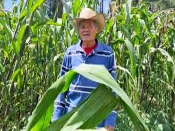 Pobreza extrema en el campo; Oaxaca encabeza la crisis de jornaleros agrícolas