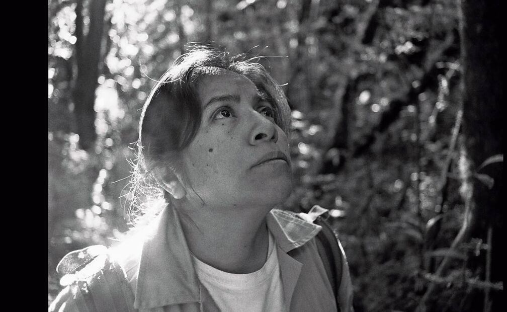 La reserva, sobre la lucha de los defensores ambientales, llega el 18. Foto: Cinépolis Distribución, mandarina cine, Pikila Cine, Benuca Films y Piano