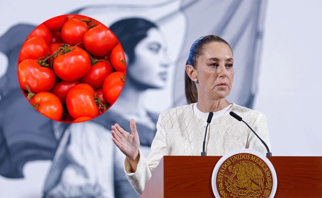 La presidenta Claudia Sheinbaum Pardo habló sobre las sanciones impuestas por EU al jitomate mexicano por presunto dumping. Foto: EFE y Pexels