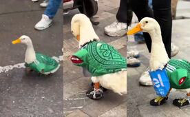 Ni Messi ni Mbappé: Merlín, el pato mexicano que conquista el Mundial