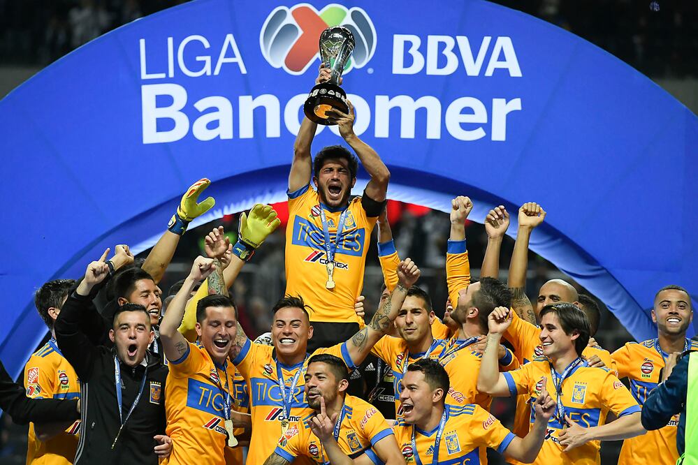 Imago7. Tigres campeón 