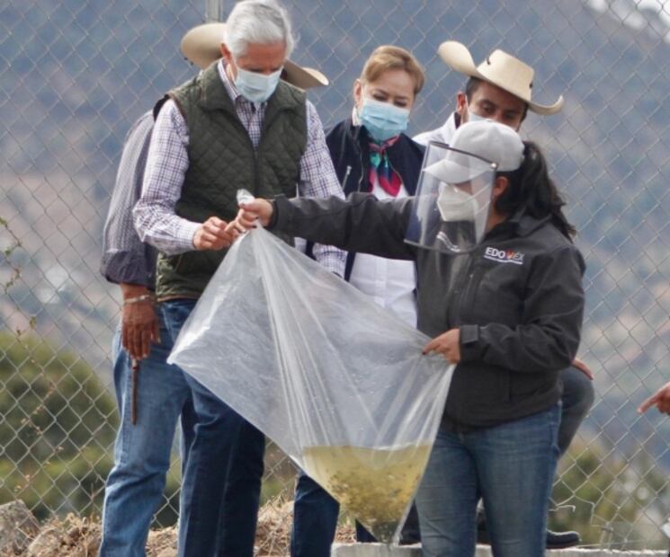 Del Mazo entrega apoyos a 2 mil 500 productores agrícolas y acuícolas del Edomex