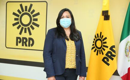 Existen riesgos de judicializar elecciones por intervención del gobierno federal, advierte PRD