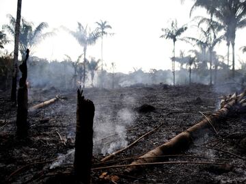 Amazon wildfires: Brazil reports record surge in forest fires