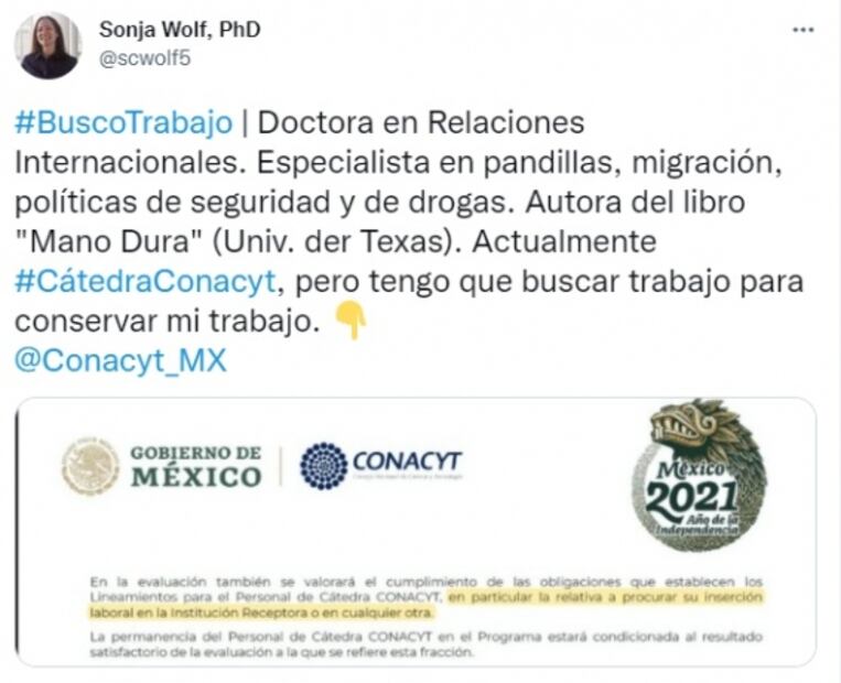 Bajo el hashtag #Buscotrabajo, científicos e investigadores denuncian incertidumbre laboral en Conacyt