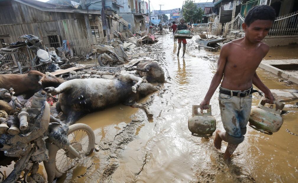 Varios jóvenes pasan junto a animales muertos en una zona afectada por las inundaciones en Aceh Tamiang, en la isla de Sumatra, Indonesia, el jueves 4 de diciembre de 2025. Foto: AP