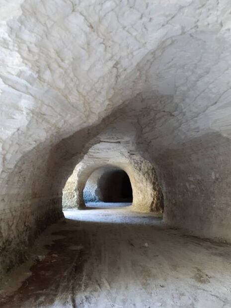 Ruta del Burro: cuevas blancas y un santuario de burros en Tlaxcala