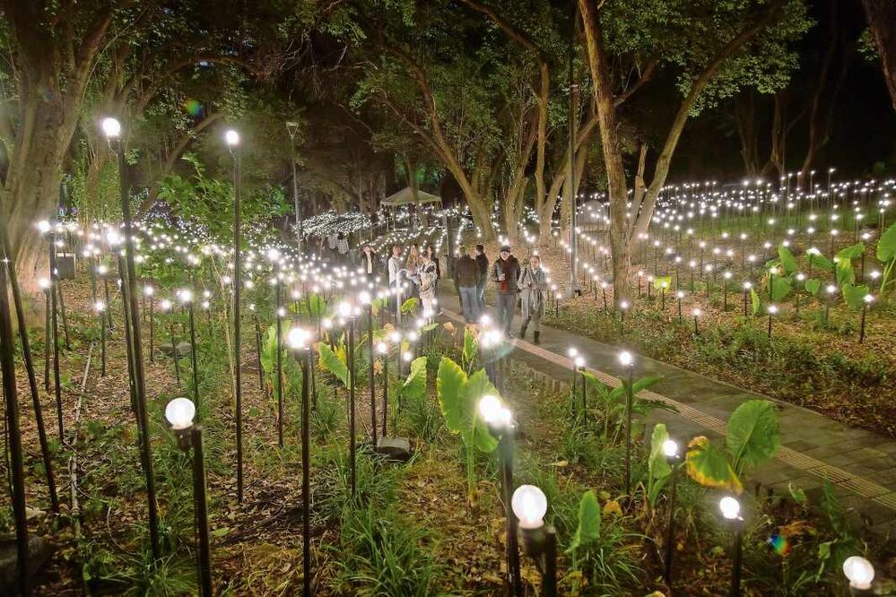 Jardín de corazonadas, de Rafael Lozano-Hemmer: un campo de miles de luces
que palpitan con los latidos de los visitantes, donde cada registro borra al anterior
y convierte el pulso humano en memoria efímera compartida.
Crédito: Santiago Reyes / Archivo de El Universal