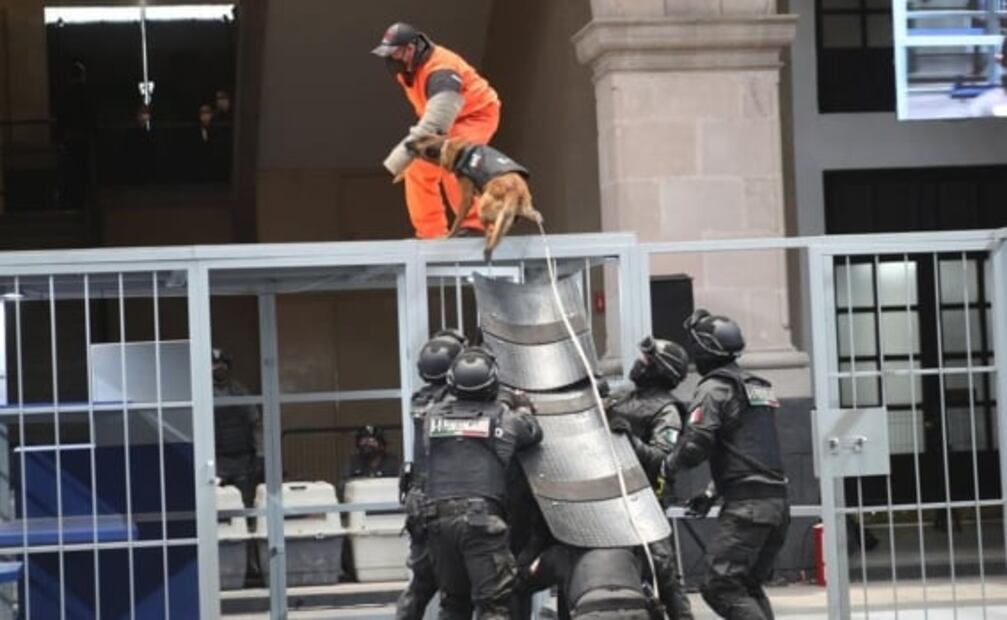 Embajada de Estados Unidos dona binomios caninos a penales del Edomex