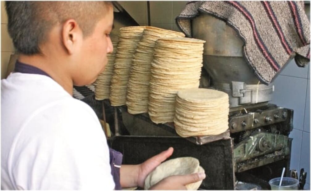 Tortilla: precios no bajarán tras impuesto a la exportación de maíz, advierten analistas