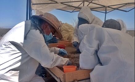 FOTOS: En 10 años, madres buscadoras han encontrado casi 30 campos de exterminio
