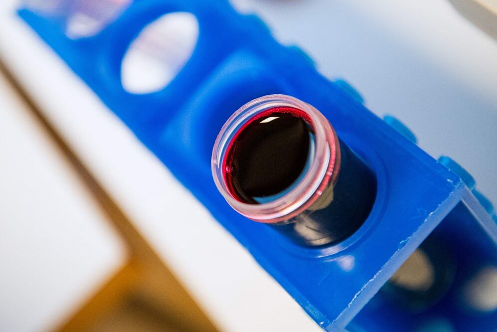 Foto: AFP / Jonathan Nackstrand