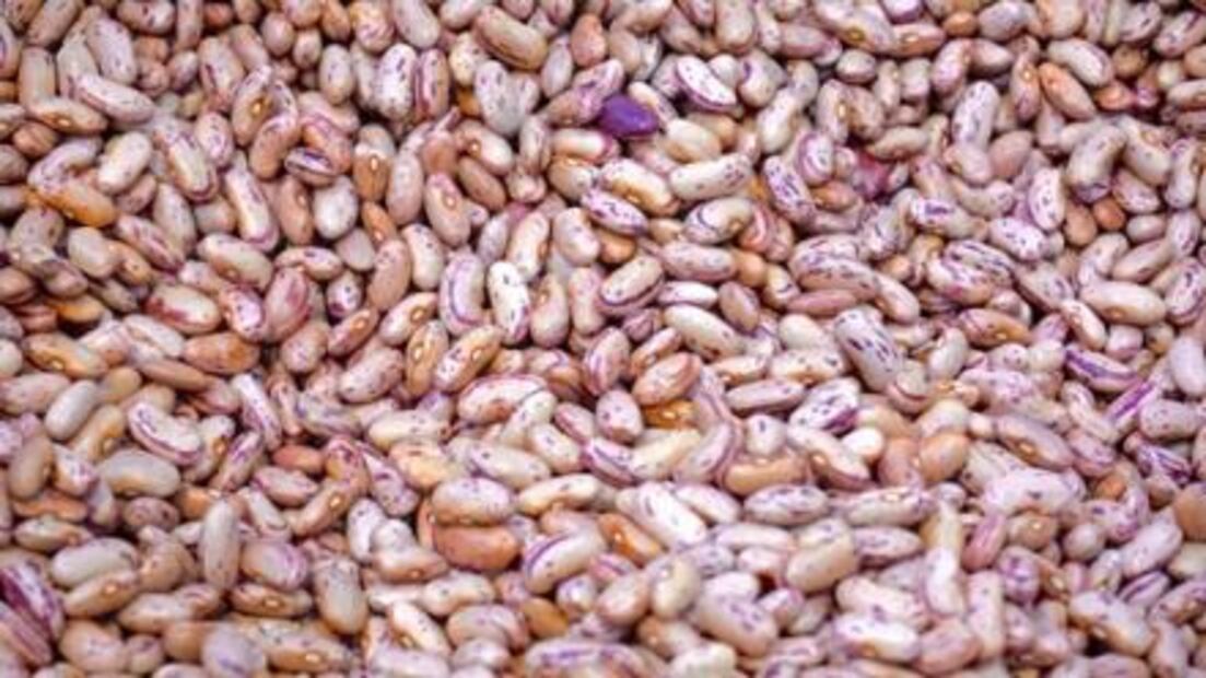 ¿Qué comer si tienes los triglicéridos altos?