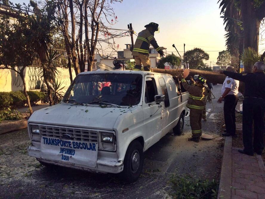 Foto: Fernando Ramírez / EL UNIVERSAL