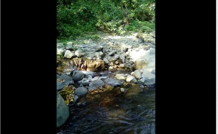 Socavón se "traga" agua de un río en Veracruz  