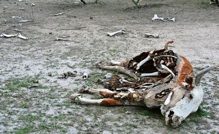 No justice for the victims of the toxic spill in Sonora