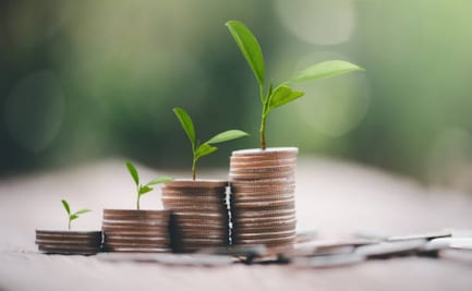 Diputados de CDMX sugieren que Impuesto Verde aumente conforme prácticas contaminantes; proponen crear Fondo