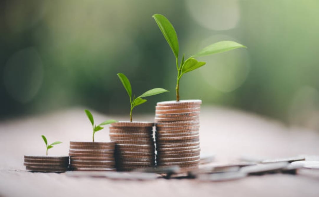 Sugieren que impuesto verde vayan aumentando conforme a las prácticas contaminantes (02/04/2025). Foto: Pixabay