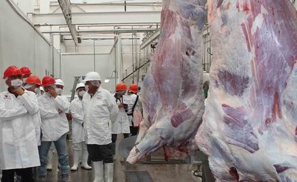 Cofepris ha suspendido 58 rastros por clembuterol