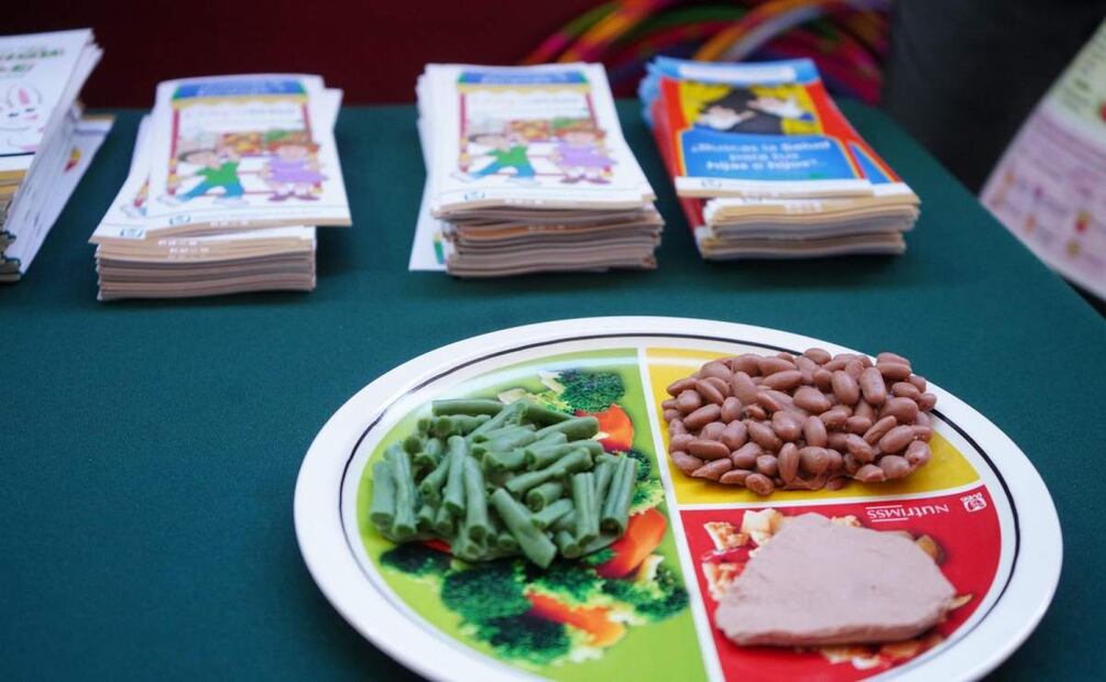 Se espera que los estudiantes sean atendidos en cuestiones nutricionales, así como de salud bucal y visual (12/03/2025). Foto: Especial