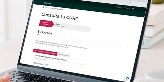 ¿Por qué tiendas en línea como Shein o Temu piden la CURP?; conoce cómo consultarla y descargarla