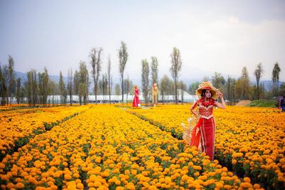 Día de Muertos en Xochimilco: así es el Sendero de las Almas