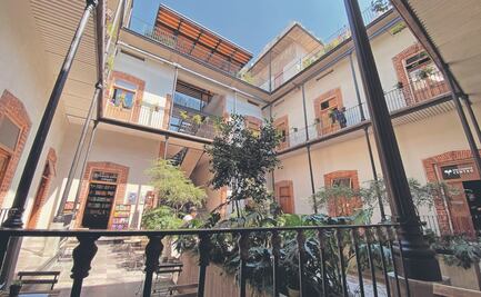 ”Limitar la ocupación no es el camino” dice plataforma 