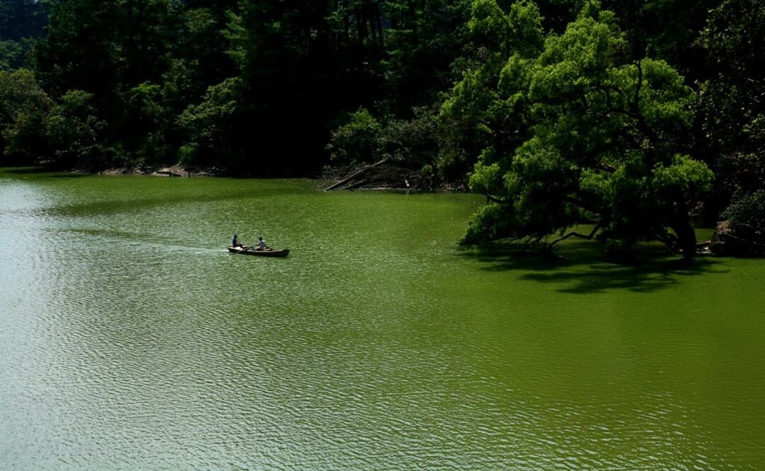 Navega en lancha en la presa la Soledad, rodeada de árboles y espacios para descansar.(Foto: Cortesía Turismo de Puebla)
