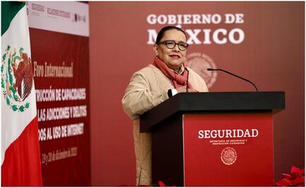 Se debe concientizar sobre los riesgos del uso del Internet: Rosa Icela Rodríguez