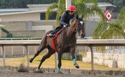 Mexican horse Kukulkán to compete at Pegasus World Cup