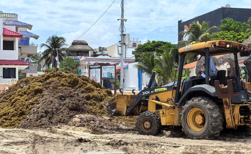 Se han recolectado un promedio de 8 mil toneladas de sargazo de marzo a la fecha en costas de Quintana Roo (03/06/2025). Foto: Adriana Varillas / EL UNIVERSAL