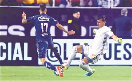 Nahuel, un producto de la anarquía de Tigres