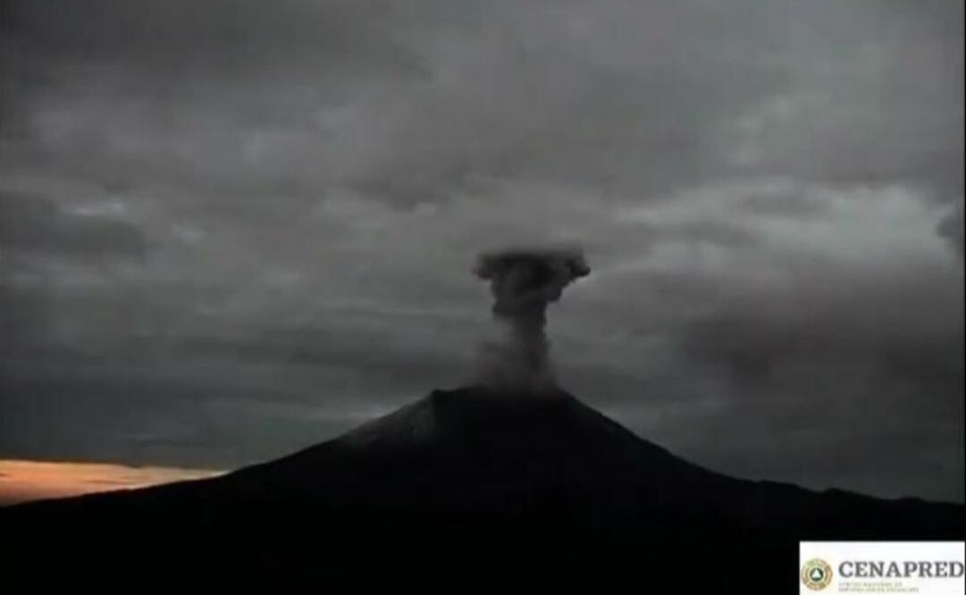 Foto: pantallazo del video