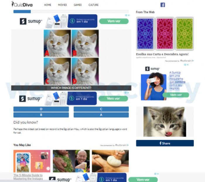 Apps espías de WhatsApp. ¿Qué hacen en realidad y por qué son un peligro?