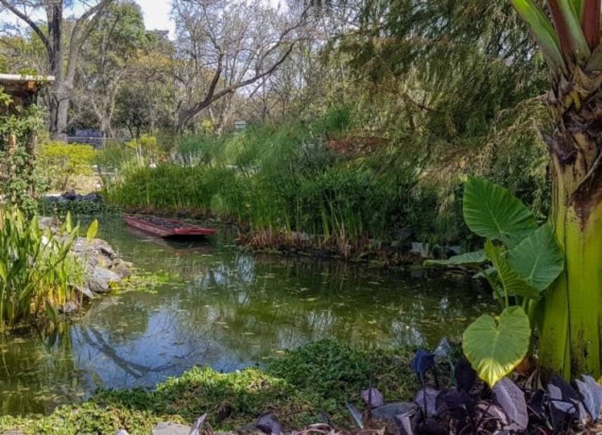 9 atractivos de Chapultepec para vacacionar en tu propia ciudad