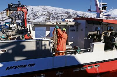 Bacalao, lo que mueve la economía noruega