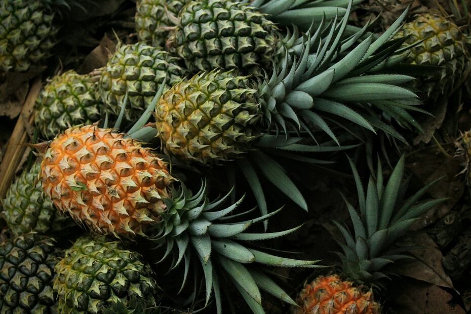 Pese a sus nutrientes, la piña puede afectar la salud de ciertas personas. Foto: Pixabay