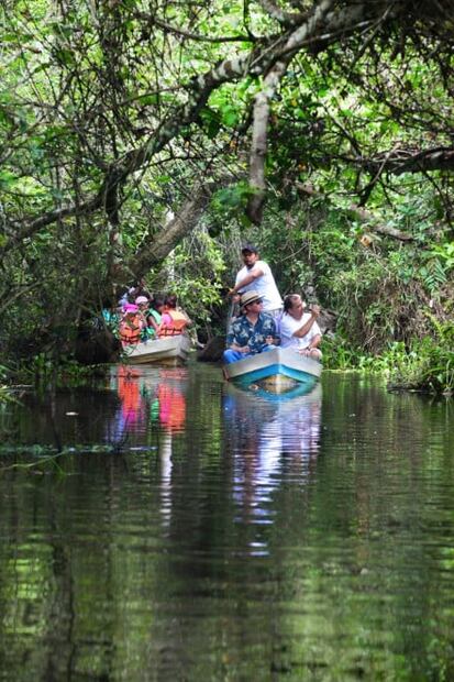 Viaje aromático al Totonacapan, en Veracruz