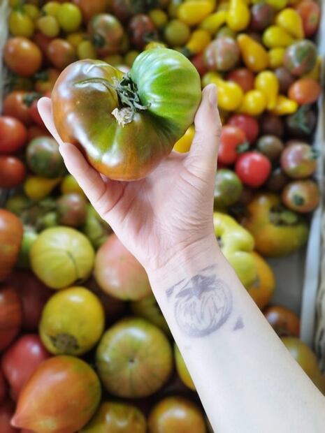Este jitomate nace en Hidalgo en honor a uno de los grandes chefs
