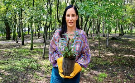 Lía Limón encabeza cuarta jornada de reforestación en alcaldía Álvaro Obregón; la meta son 4 mil árboles