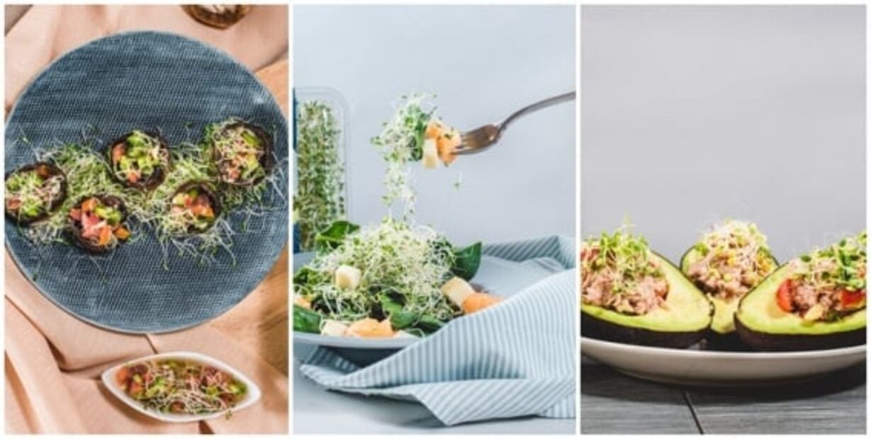 Conoce los beneficios de comer germinados