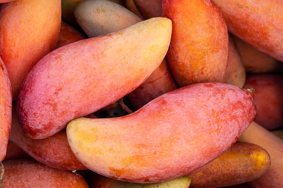 La variedad Keitt combina un sabor entre dulce y ácido con pulpa firme y sin fibra. Foto: Freepik