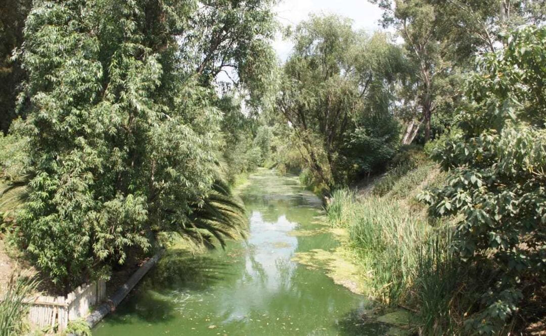 El proyecto de Canal Nacional fue reconocido por tratar de conservar el canal, que es una reminiscencia de un canal prehispánico. Foto: Especial
