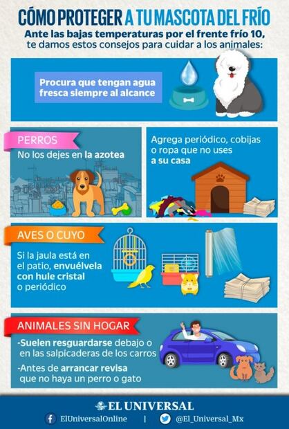 Capitalinos tendrán una fría mañana de 6 grados hoy