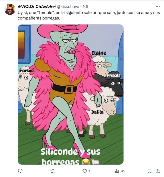 Memes La Casa de los Famosos. Foto: X