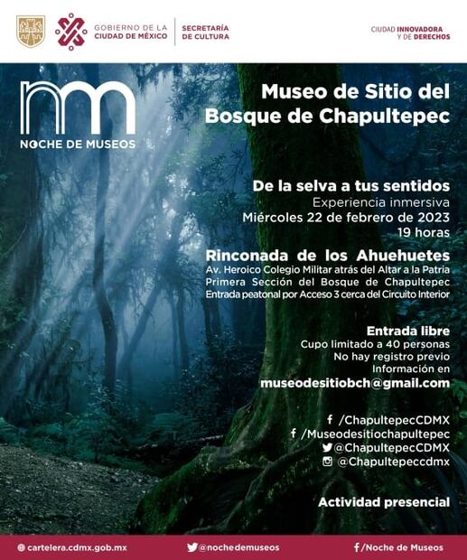 La Noche de Museos de febrero: 13 actividades imperdibles