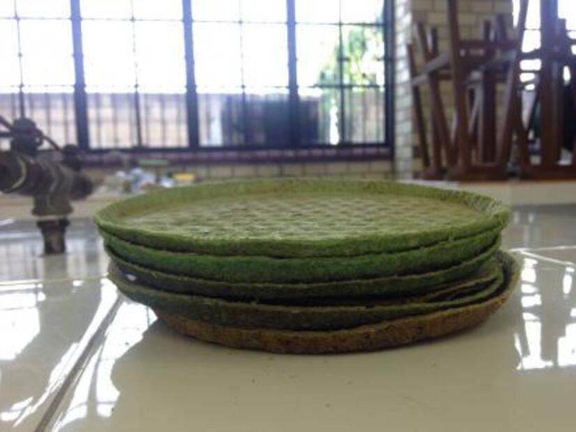 Mexicanas crean platos con nopal
