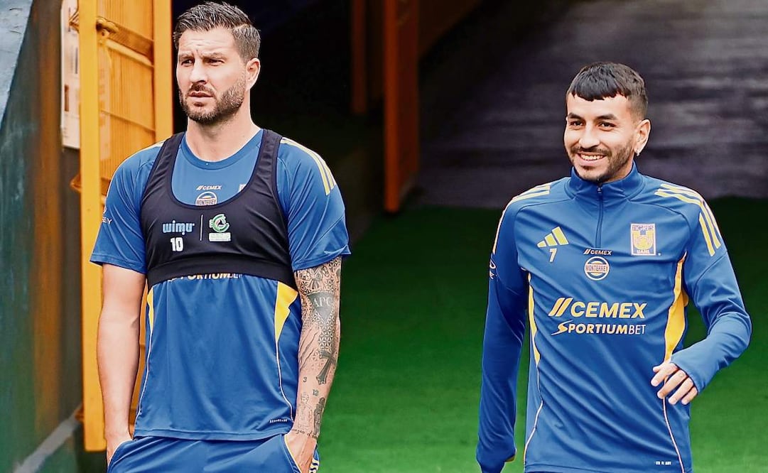 Los felinos regios quieren evitar cualquier distracción; están concentrados. Foto: Club Tigres